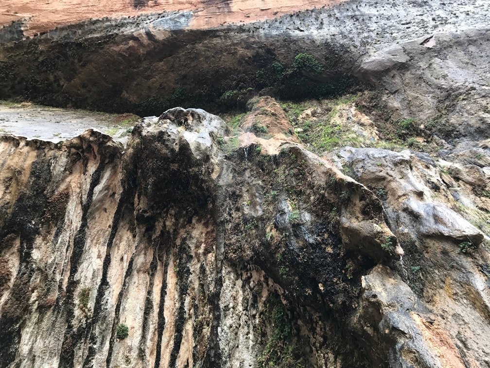 Weeping Rock at Zion National Park